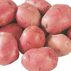 দেশি আলু (BX)