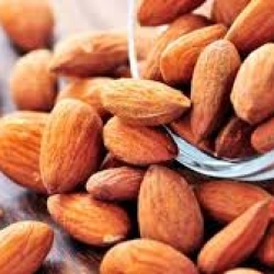 কাঠ বাদাম (ADX)