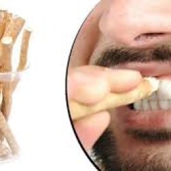 মেসওয়াক(XXD)