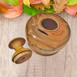 কাঠের-ব্যাংক(XXABX)