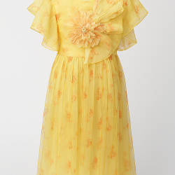 পার্টি ফ্রক 8/12 Years(AXEX)