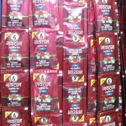 নবরত্ন পাতা (XXB.E)