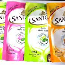 সন্তুর হ্যান্ডওয়াশ পলি(EX)